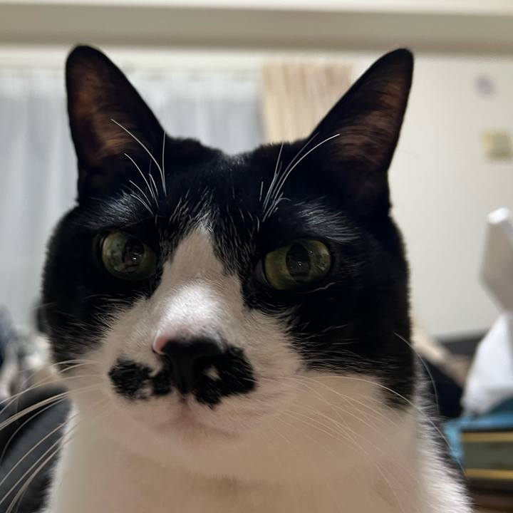 C2fa1f45 ccdd 4ea7 a1c3 855381eb315a 1768775357412