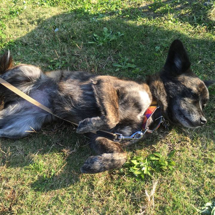 C2fa23c7 619e 48a3 a558 fde38c5dc2e5 1510379966219