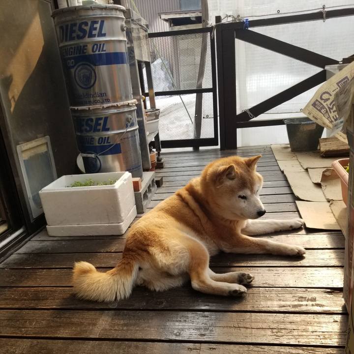 C2fa248b 8b37 4a15 87a7 ddc7c4928c6a 1742947473670