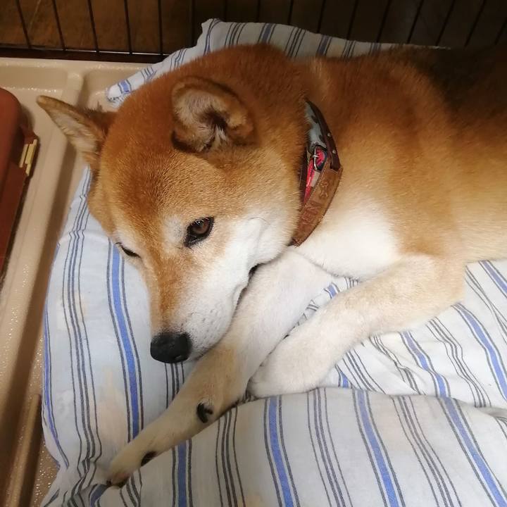 C2fa4e92 ed75 4a67 884b 761be5e5712a 1660359333402