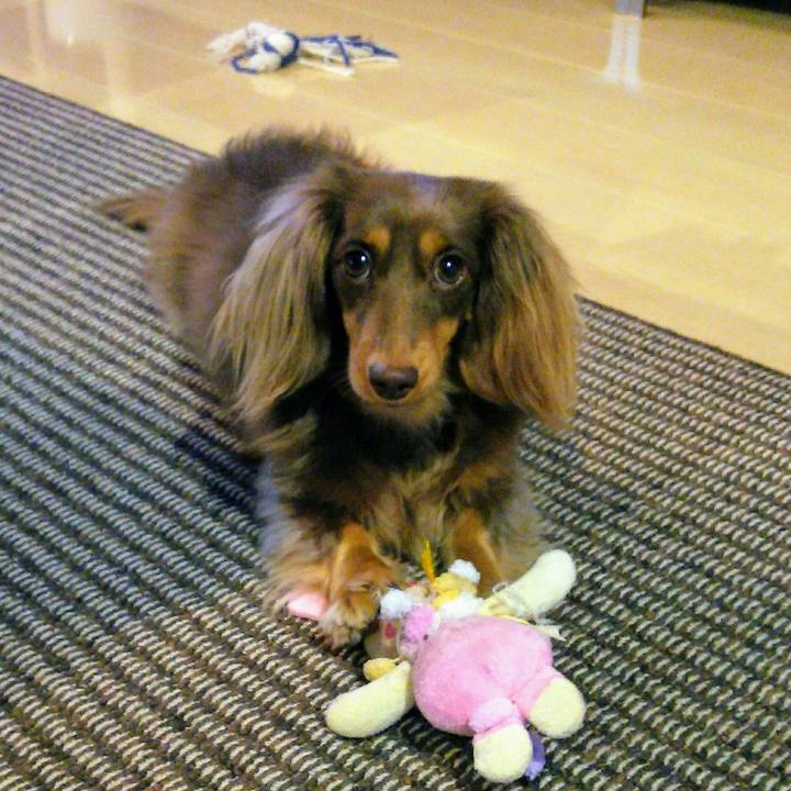 C2fa5673 70fb 4a06 8ac3 8a2cd0c15438 1511484157976