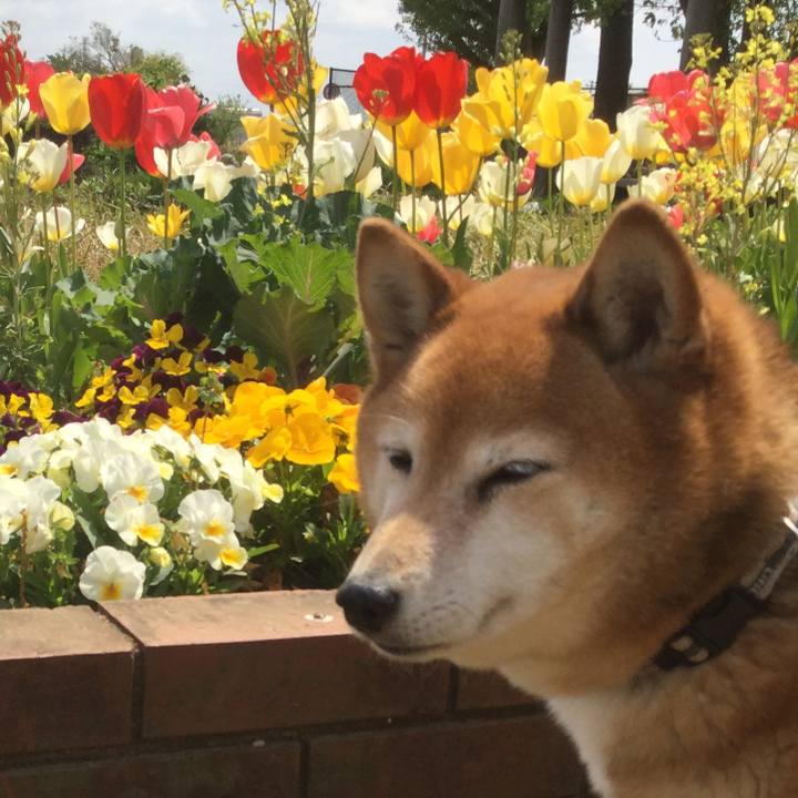 C2faa7ff bbff 43ff 93a1 2d665575eadd 1618200824740