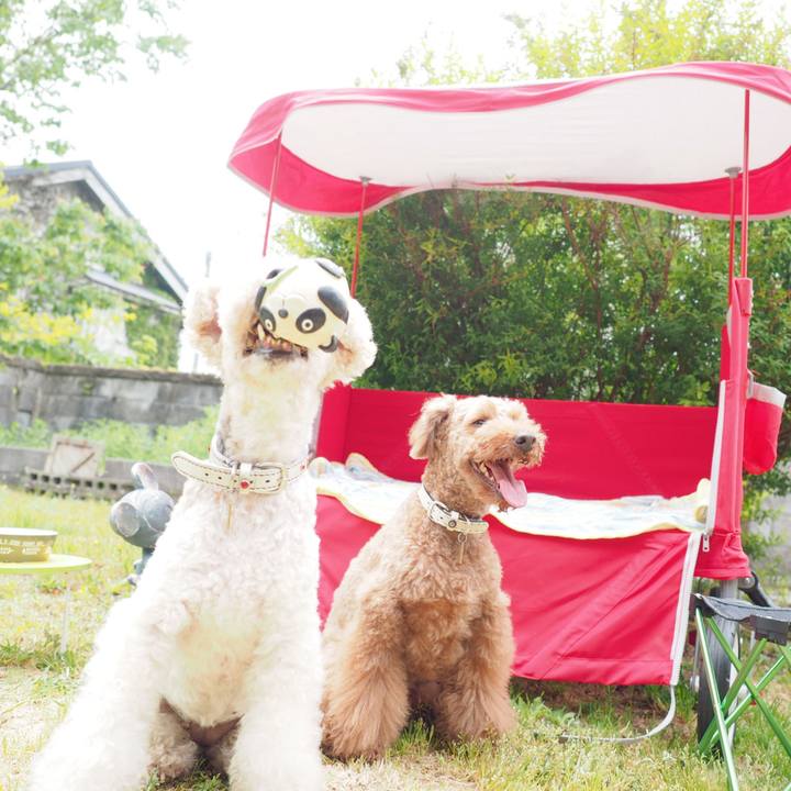 C2faae3e bdb1 4589 b2c2 7f57f2cdd40b 1588485176716