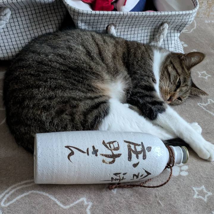 C2fae2fd d45f 416c 896e ebfbd02ebcb0 1733535235546