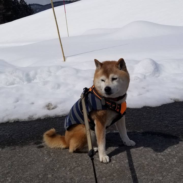 C2fb1038 fc4d 4c0a a3c8 33990c7a7c19 1711078846613