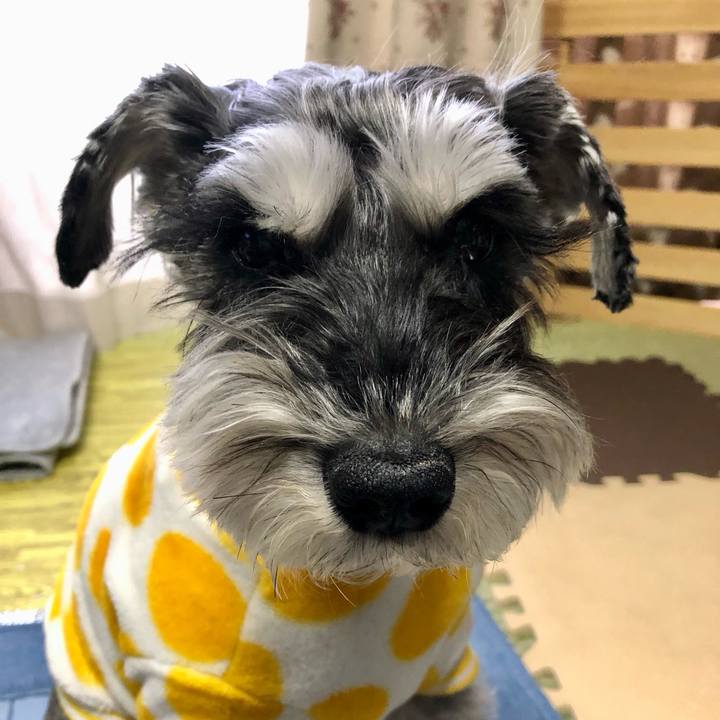 C2fb177c 9f70 4d91 b241 663009e32ed6 1704154821879