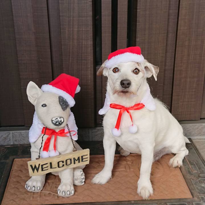 C2fb2d14 2efb 446f 8b7a aec953b4caf3 1577401554067