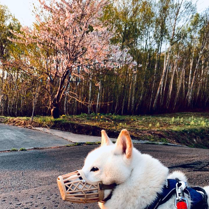 C2fb50d0 c032 4998 b0b0 26b87b1d7b65 1651725911239