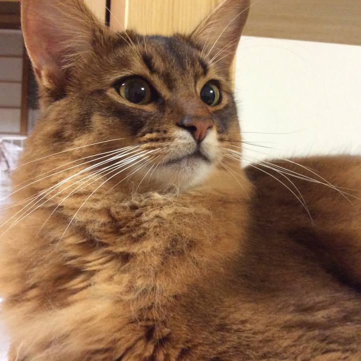 C2fb5735 3928 4a2d 884e a8526e5c5181 1607601932402