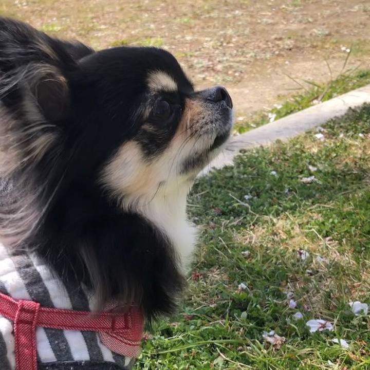 C2fba03c fddc 4e41 b23a 647e87bf9732 1586573427351