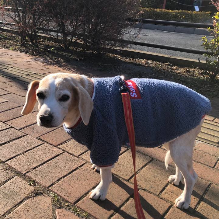 C2fba5ad d0c5 4335 bd28 3a1981d6b6df 1614071644714