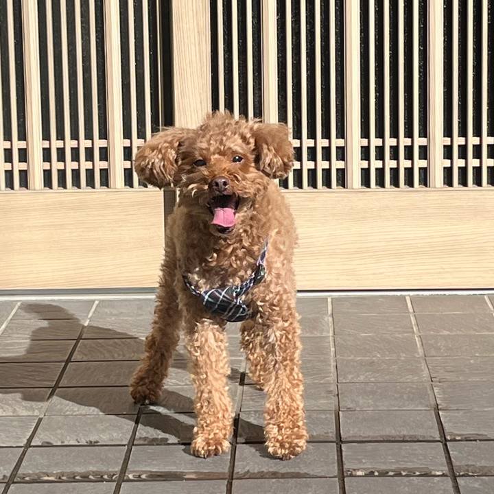 C2fbe918 b0e6 40c7 824a 77814f65cd05 1733625441385