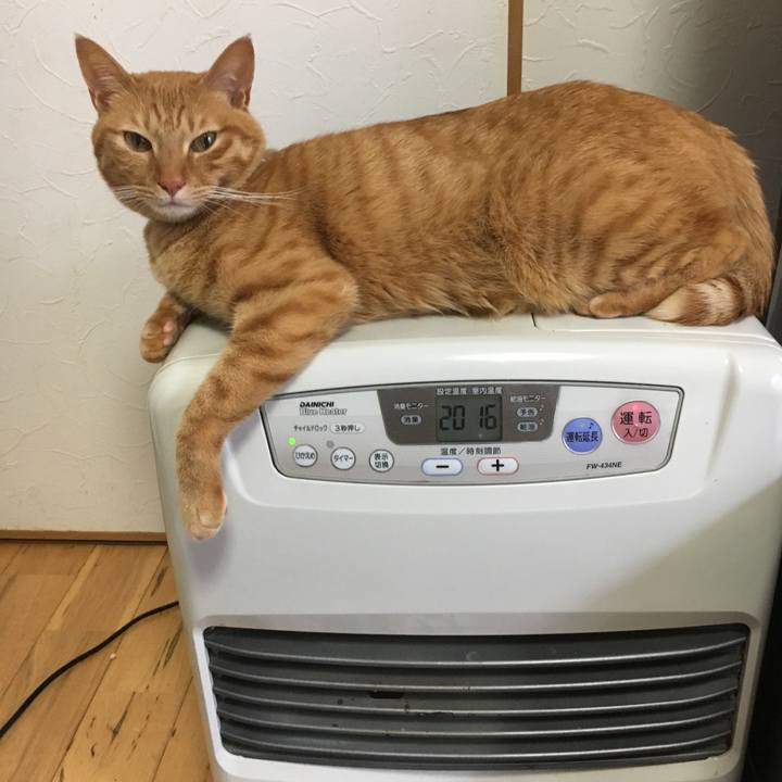 C2fc27a7 09de 4e29 bc02 9cefbae7fa02 1516860389753