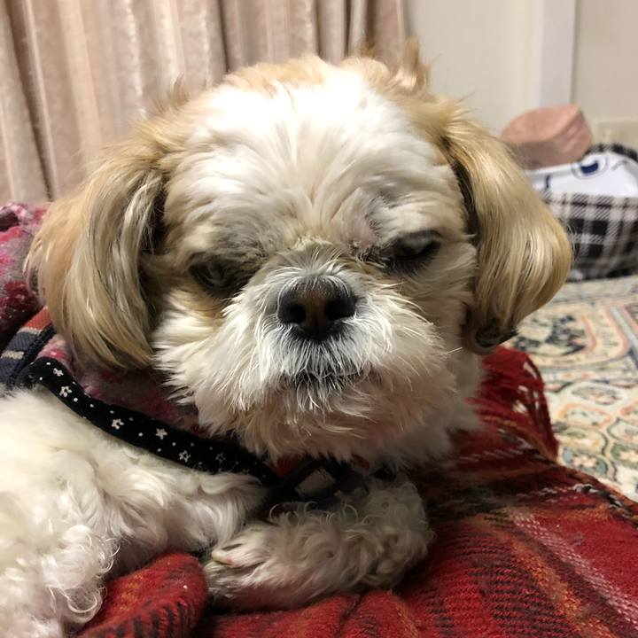 C2fc5bfa 3ee5 4c13 930b 388c795df8af 1517953232080