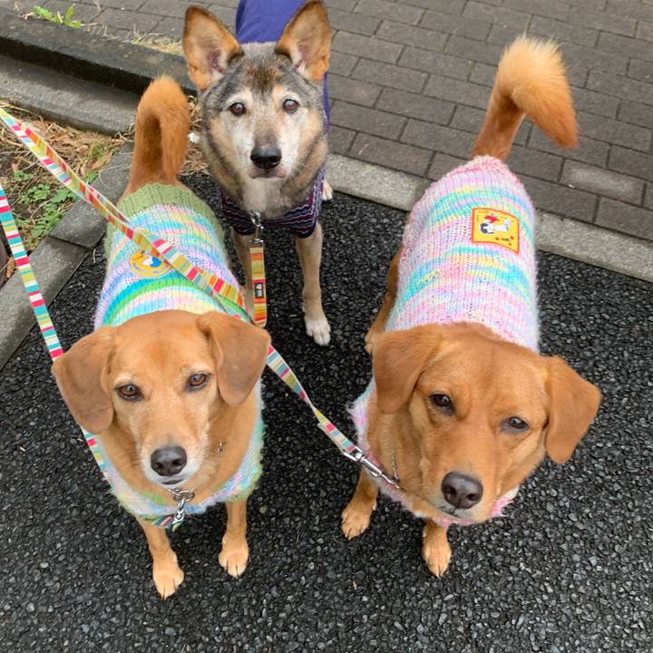 C2fc71e4 09eb 419b 89d0 5342be4dd651 1573433898624