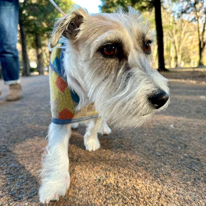 C2fc895b 2101 4b50 907f dbe43be0b87f 1703381344971