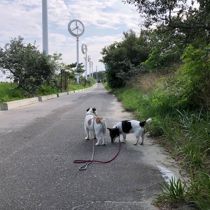 C2fcb0bc 95b0 473e 93a4 165a7d07d668 1564098156033