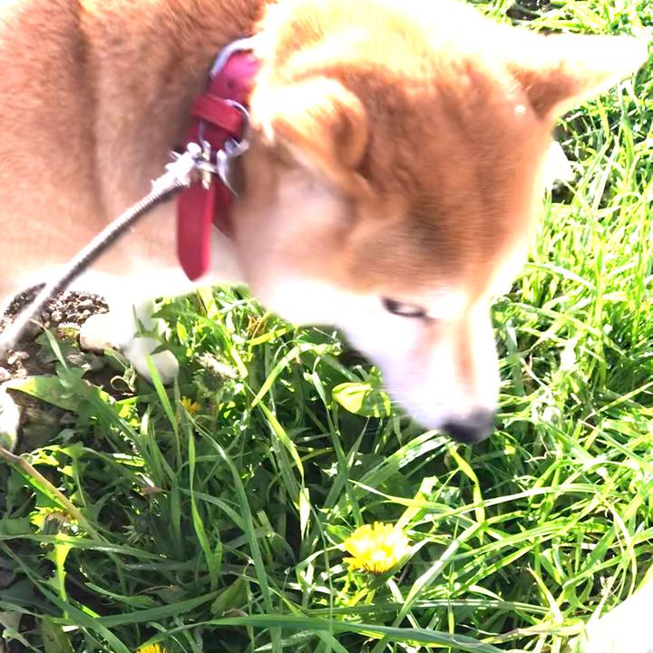 C2fccd18 bea6 4234 b4ec f2969d898d43 1573571897746