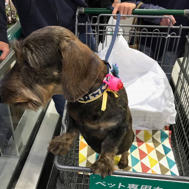 C2fce20c a11c 488e ab22 028da457230d 1526125190265