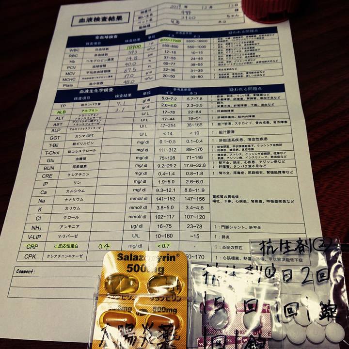 C2fcef2b eb58 4e8f 8cc9 47114dd40adc 1576245124942