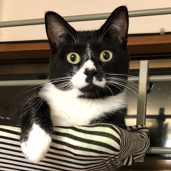 C2fd26b6 4826 4417 ab17 fe8388365231 1536474704550