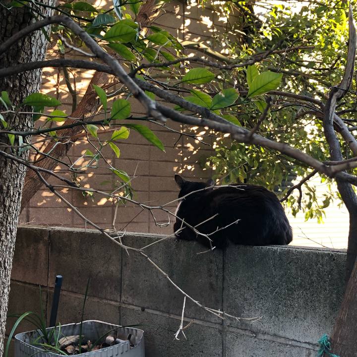 C2fd30cf bf4f 4965 a4c4 86ff520ada98 1548119198631