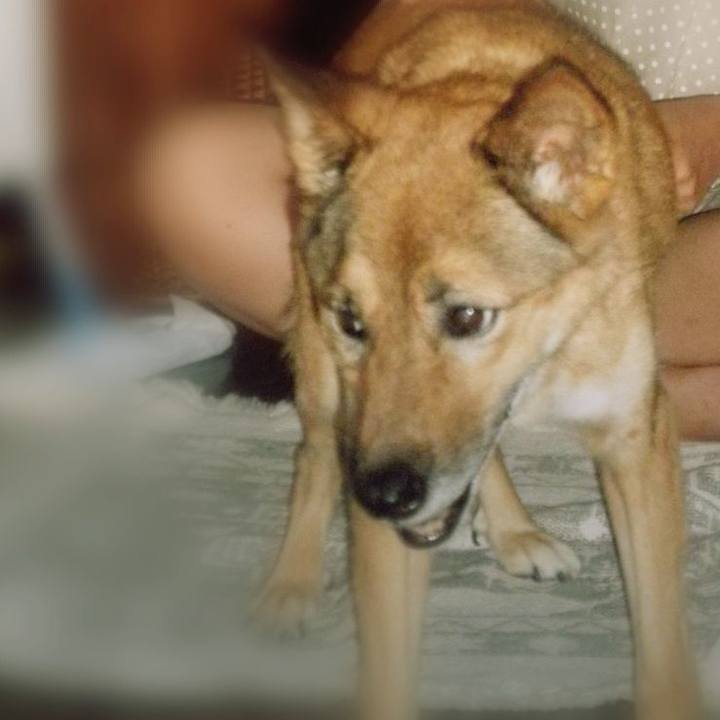 C2fd7caa 8929 4e74 a585 34ef4b11ba4b 1629765904406