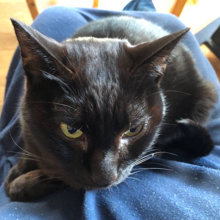 C2fdb027 e812 4dc2 a212 97ac0046b6b8 1731883091415