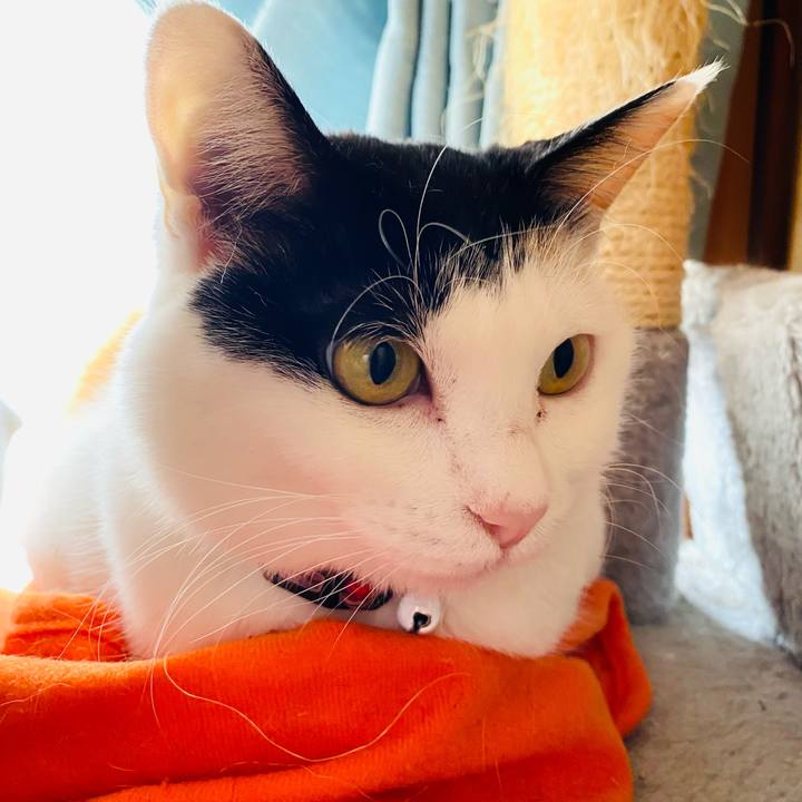 C2fdbff6 cc00 488c 9aad 878b05492d19 1675329442588