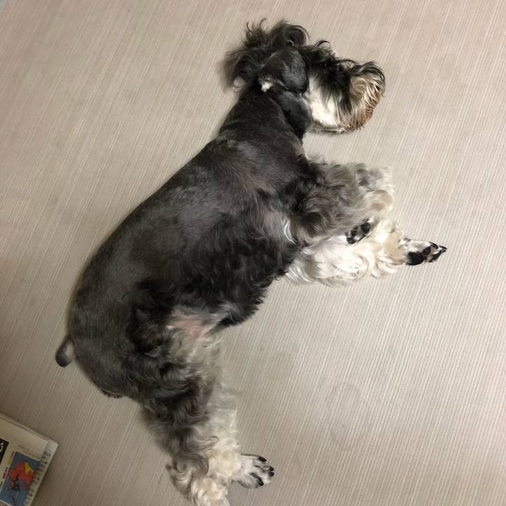 C2fdfd99 0e5a 4c87 bce9 0c460ba18259 1594215030469