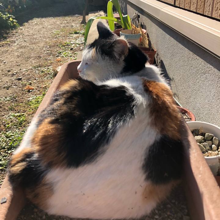 C2fe00c0 d155 4130 8866 56cab6249982 1608967984400