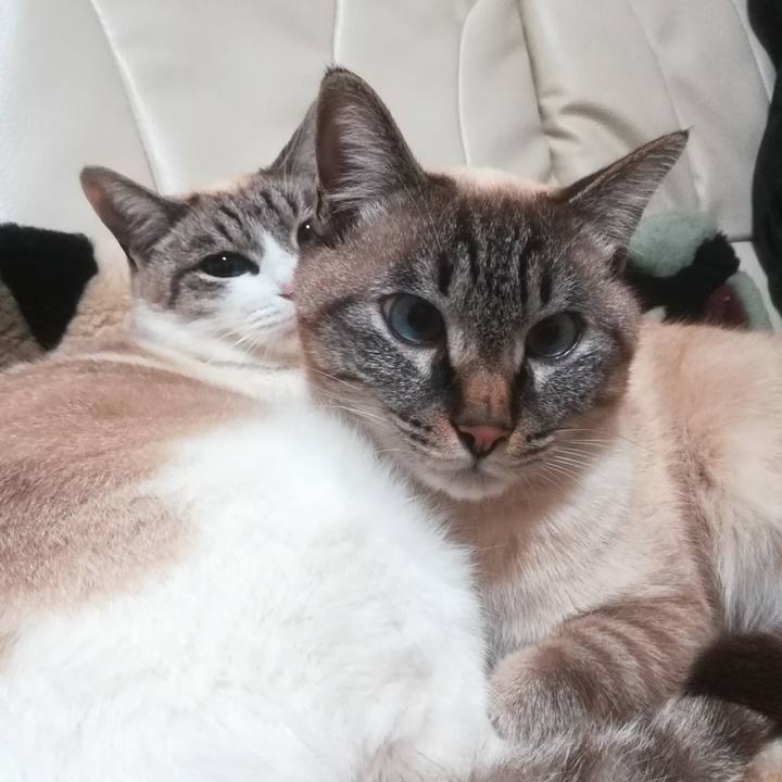 C2fe06bb 108b 4b3c 997e cbc0a6f7e952 1515419209838