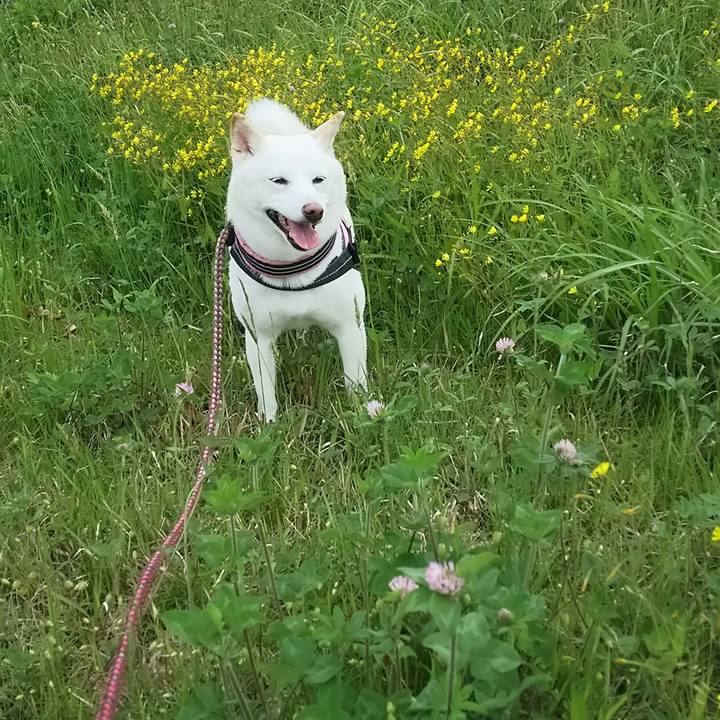 C2fe1ad7 34c6 41f8 85ba 33f5f65ea0ce 1526608873114