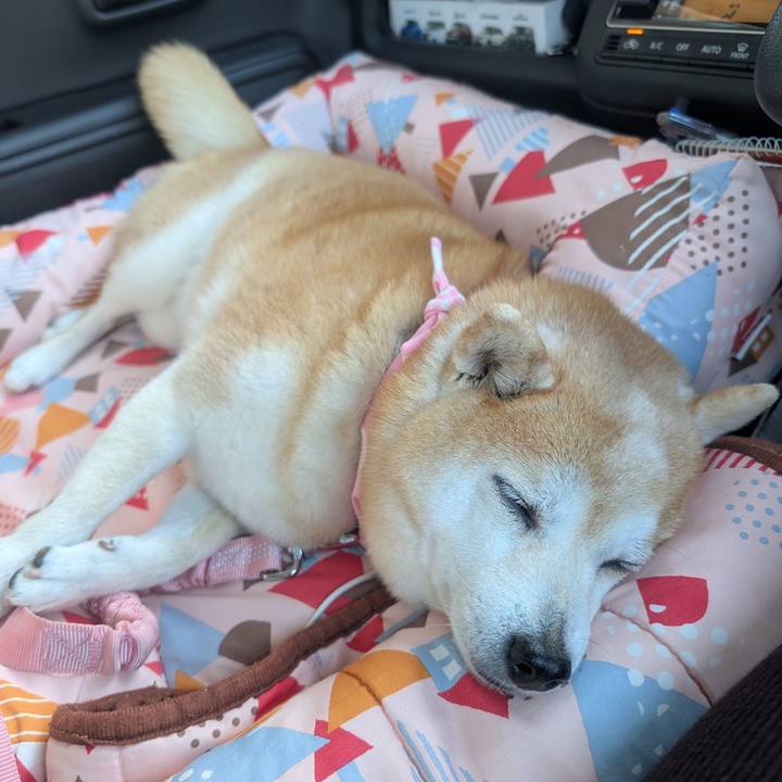 C2fe3a94 6ccc 4f72 9168 cd5c54b57e42 1763258901615