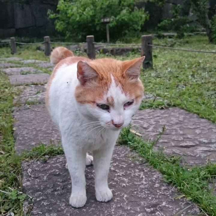 C2fe3ac1 1819 4997 9642 c695f0f08332 1524645869149