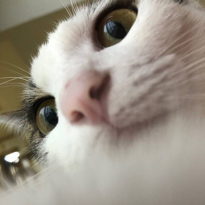 C2feba80 d0bc 4127 b775 db8e03994368 1594425127632