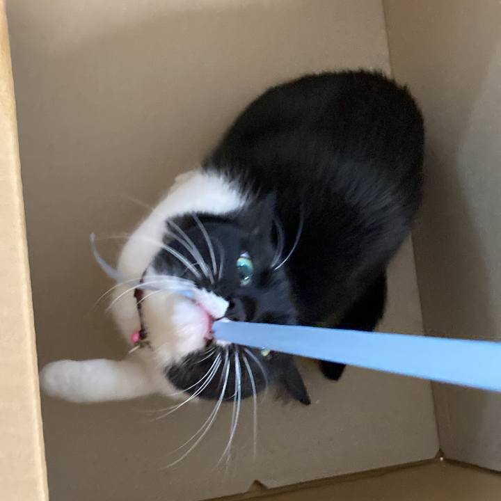 C2fef69c f630 404b b9ed 6b3b25f966ba 1640791433489