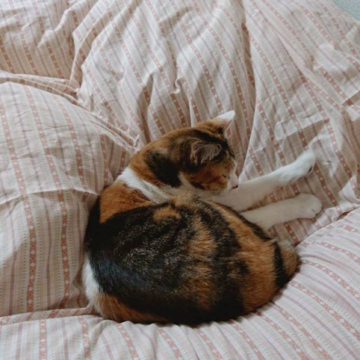 C2ff03bb 283c 4d27 b4a1 e50849b46cd7 1587292750472