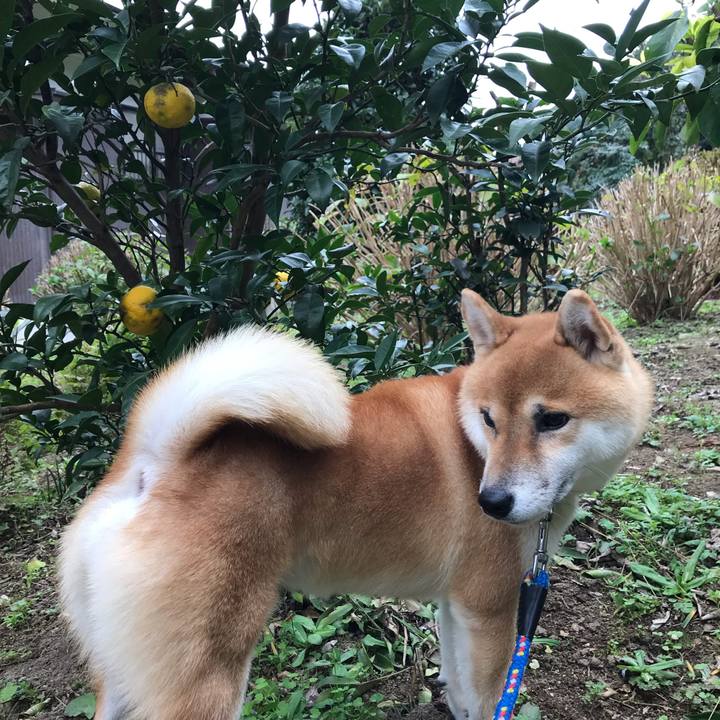 C2ff1ed8 59cb 448b a93b e04a6a54b162 1572765928053