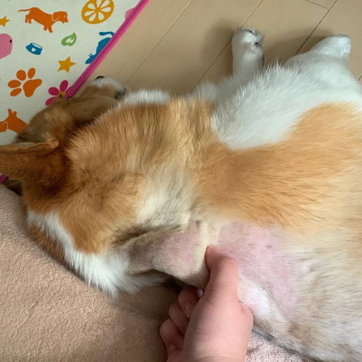 C2ff308a 20df 4061 86a2 93e56c21780a 1561515699609