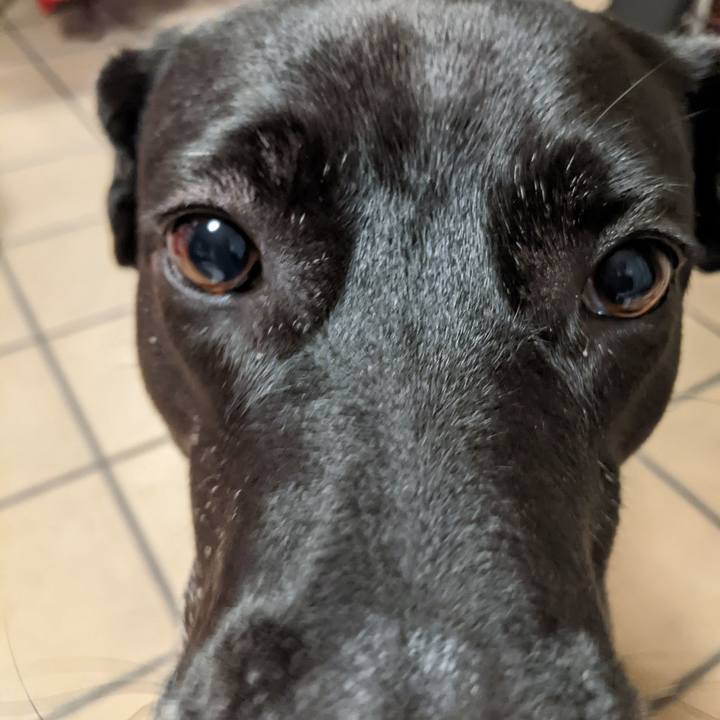 C2ff45ac ce14 4d80 a55d d94ccdc49485 1650539387567