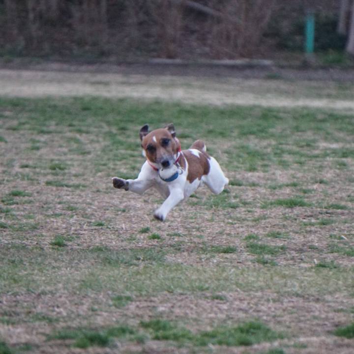 C2ffbac8 2cd5 4993 819a 14091bc63889 1551134857950