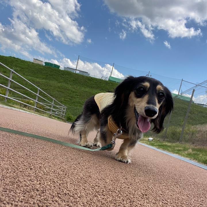 C2ffd08d 2dbc 40e8 942b b54a2db7c925 1745975635343