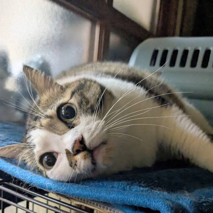 C2fffb71 4d52 4a57 9e67 e1814c47a4c8 1763381079830