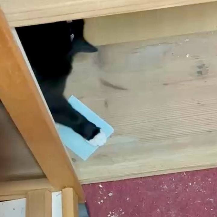 C30080af 2cac 463b a373 0081d6a0c9ea 1748741413353