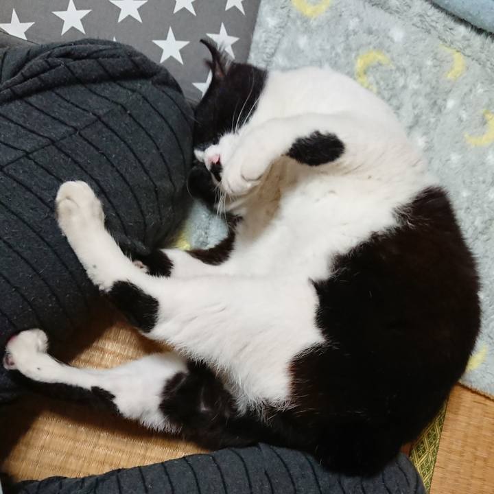 C3008c95 9aaf 47c7 bed2 c3985de7d189 1539774852963