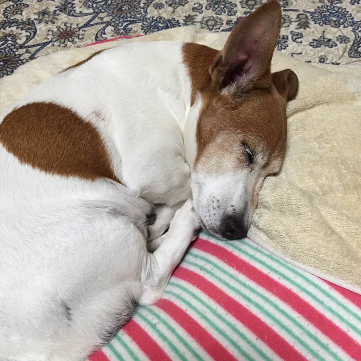 C3009243 0d26 479f a1d6 b3e084ea3528 1550746286090