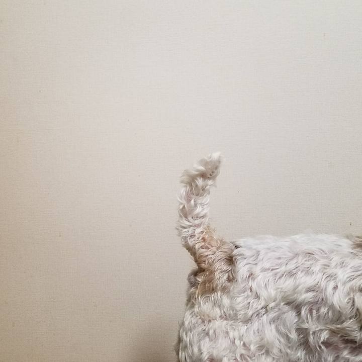 C300b220 1f83 4b43 ae2b 59c0ee878860 1531869179716