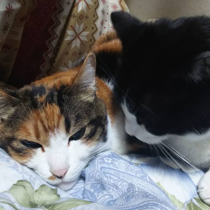 C300d607 921d 41a6 812c ebfeb231fed0 1580036166321