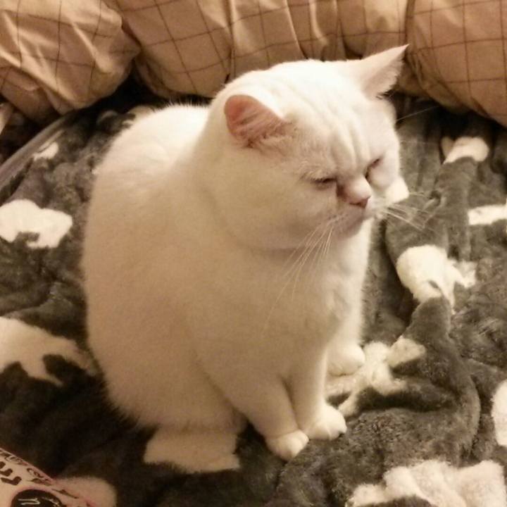 C300dff6 6336 4115 8907 062742bc2822 1513198916953